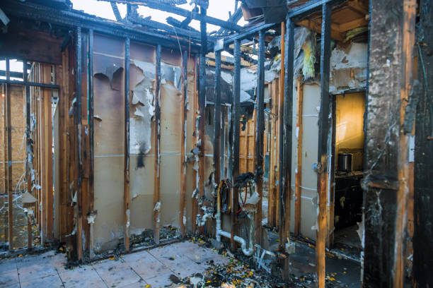 Professional Odor Removal technician working in Crockett, TX